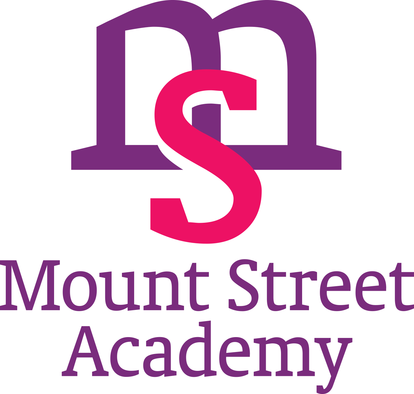 Mount Street Academy logo